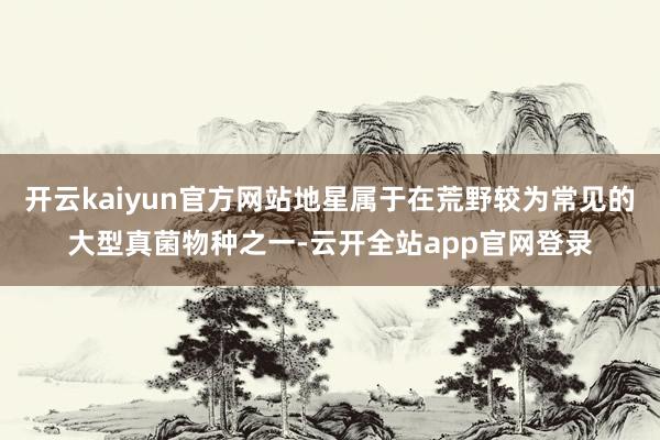 开云kaiyun官方网站地星属于在荒野较为常见的大型真菌物种之一-云开全站app官网登录
