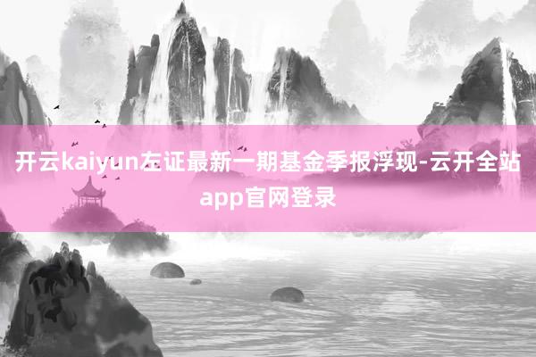 开云kaiyun左证最新一期基金季报浮现-云开全站app官网登录