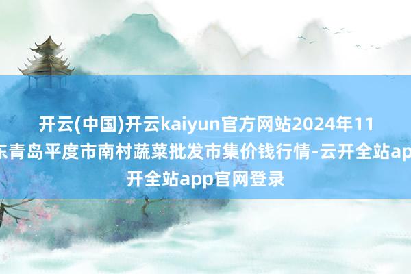 开云(中国)开云kaiyun官方网站2024年11月26日山东青岛平度市南村蔬菜批发市集价钱行情-云开全站app官网登录